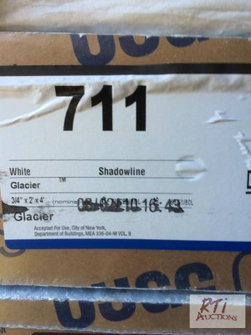 lot 185 image: Ceiling Tiles, glaciershadowlinewhite # 711...